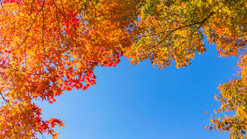 More near-record warmth Monday in Minnesota ahead of big cooldown — WCCO / CBS Minnesota, Apple Valley Community news