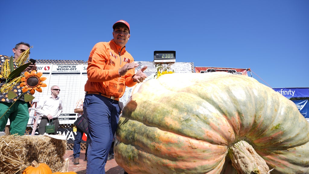 Minnesota man drives hauls giant pumpkin over 2,000 miles to California competition — WCCO / CBS Minnesota, Apple Valley Community news