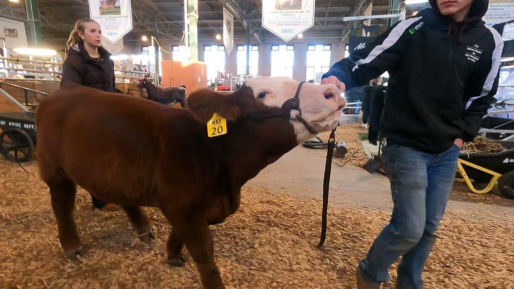 Spotlight on beef as Minnesota midterms near — WCCO / CBS Minnesota, Apple Valley Community news