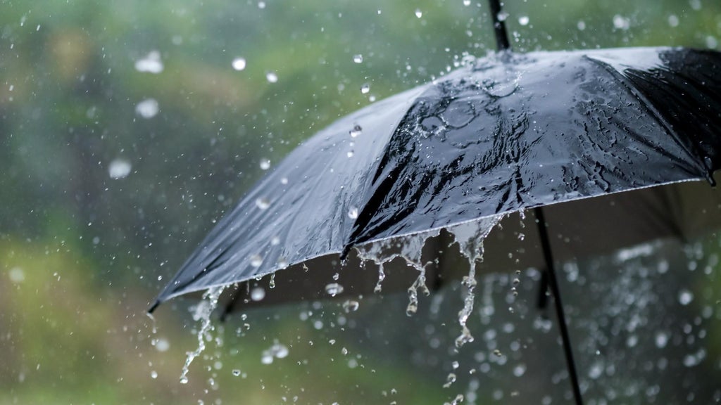 Widespread rain in Minnesota Monday; milder air returns Tuesday — WCCO / CBS Minnesota, Apple Valley Community news