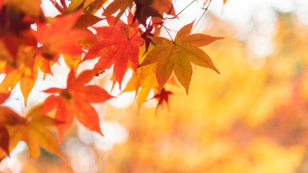 More sunny, mild late October weather in Minnesota Tuesday — WCCO / CBS Minnesota, Apple Valley Business news