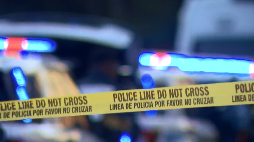 Man accused of stabbing, killing his own mother in Tamarac, BSO says — CBS Miami, Apple Valley Health news