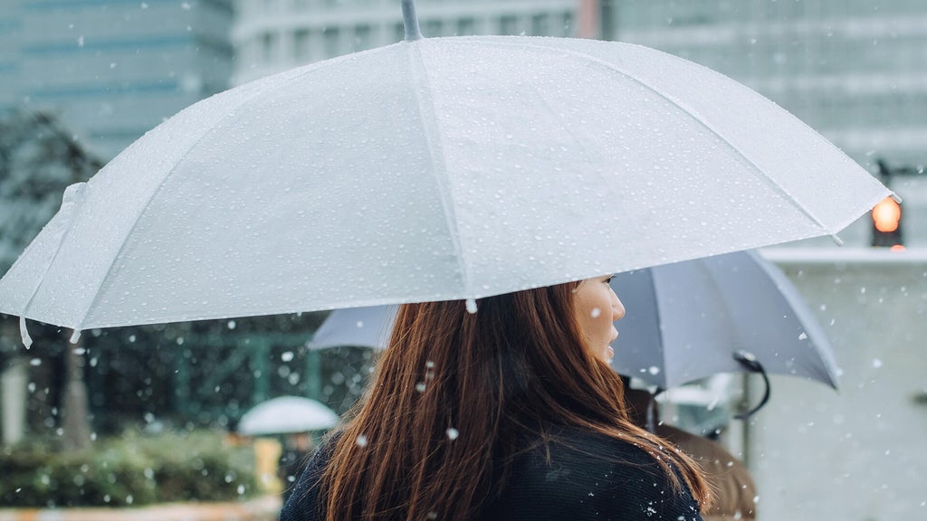 Soggy, chilly Thursday in the Twin Cities; season's first frost possible Saturday — WCCO / CBS Minnesota, Apple Valley Sports news