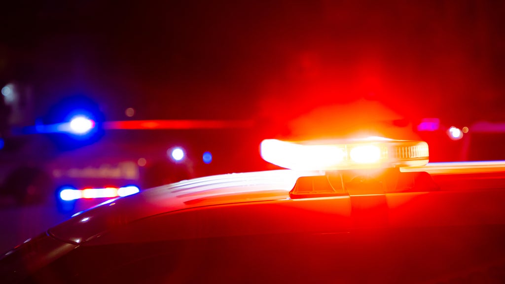 Driver killed in head-on collision with semi in central Minnesota — Apple Valley Community news