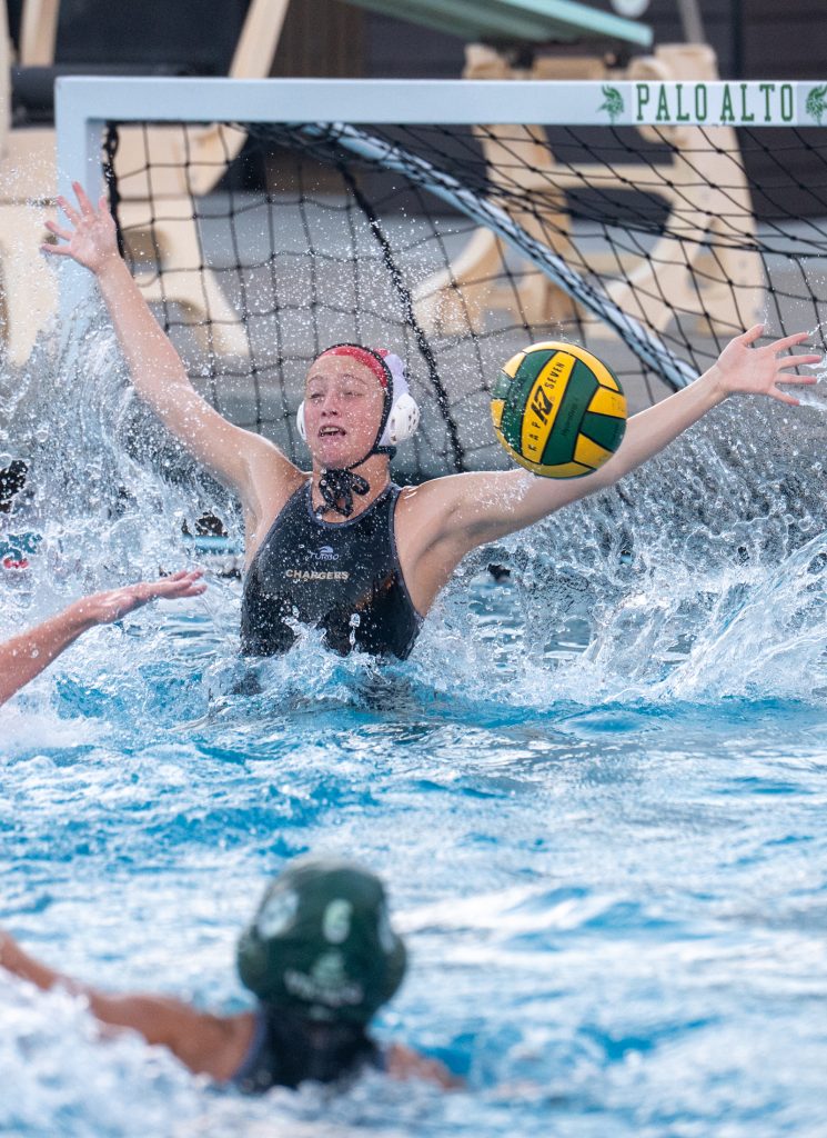 Wilcox Water Polo Caught in Vikings Rip Current — Silicon Valley Voice, Apple Valley Sports news
