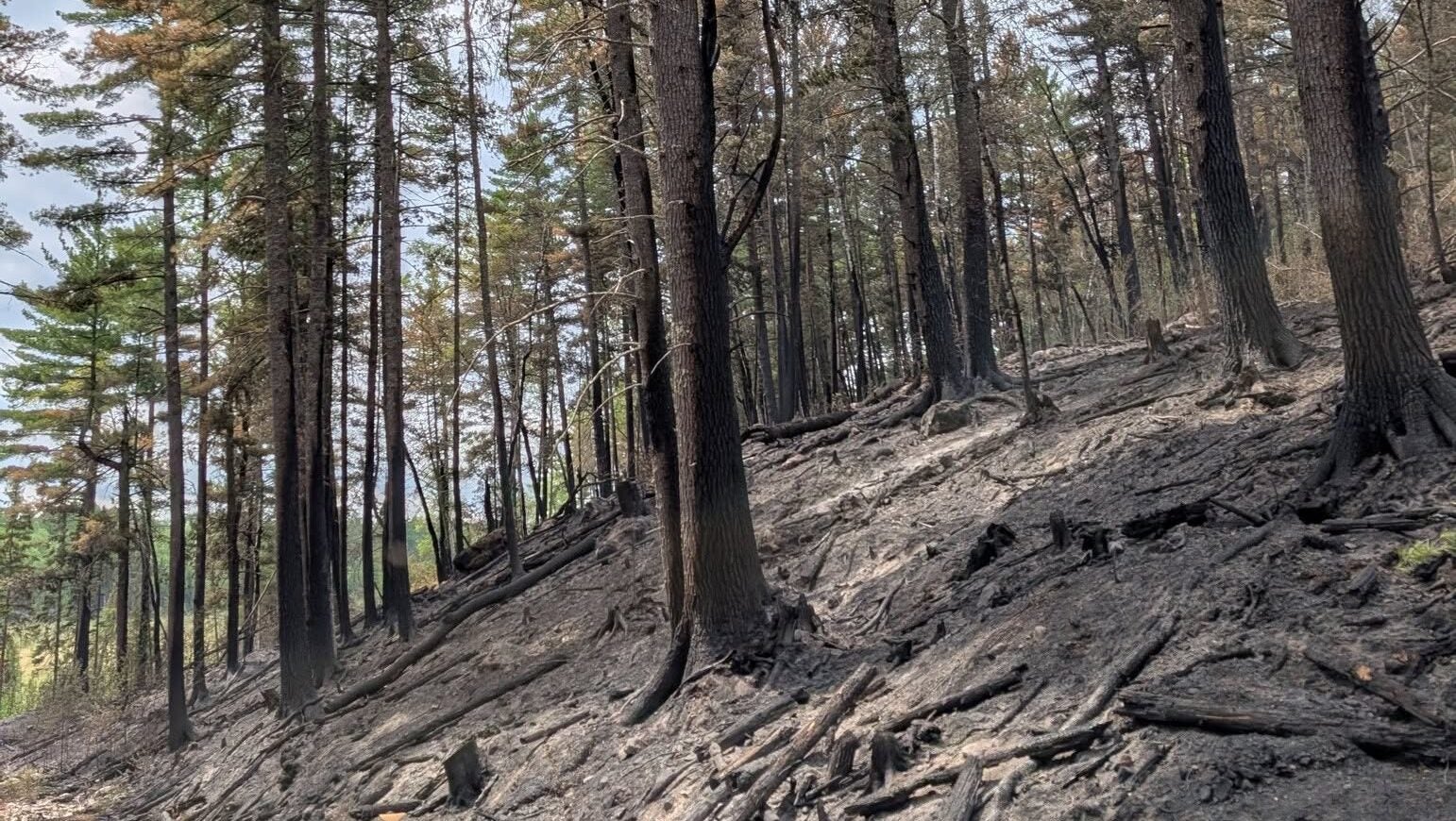 74-year-old who became separated from his family on a trail in Ely was discovered dead — KSTP 5, Apple Valley Community news