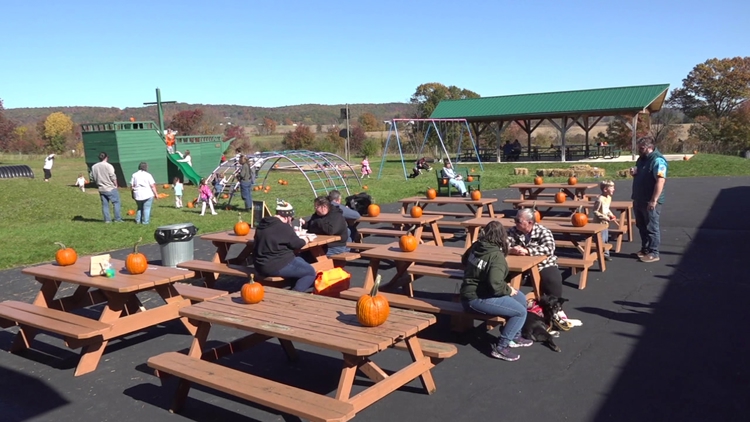 Outdoor festival in Columbia County brings together artists and businesses to connect with the community — WNEP 16 (Scranton/Wilkes-Barre), Apple Valley Arts news