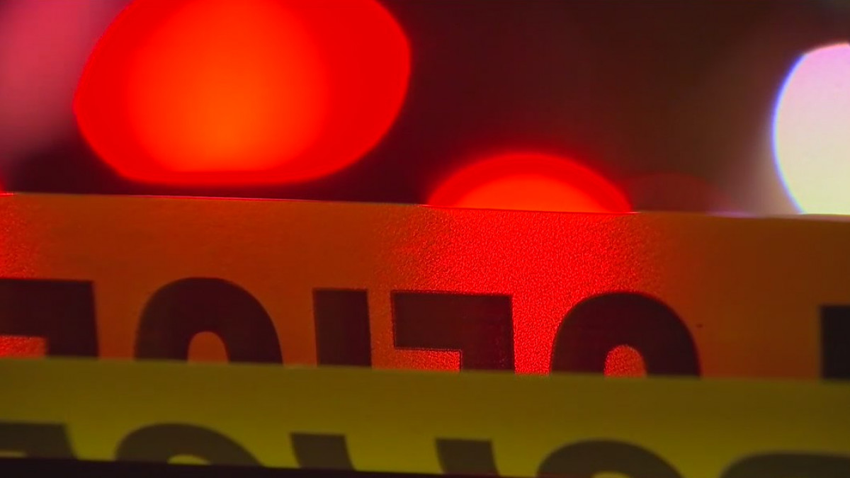 Eden Prairie homecoming shooting: Riot suspect charged in separate graduation gun incident — FOX 9, Apple Valley Schools news