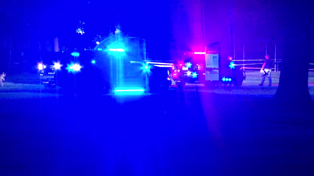 Brooklyn Park teen shooting suspect ordered to stand trial as adult — FOX 9, Apple Valley Community news