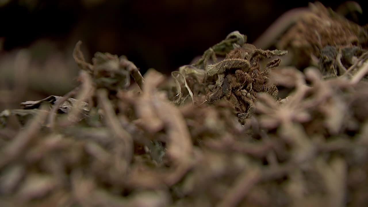 Hemp THC deadline hits $200 million industry, leads to layoffs, but liquor stores may maintain — FOX 9, Apple Valley Business news